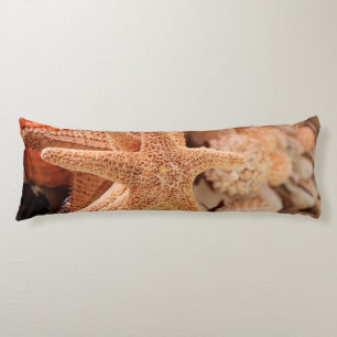 Coussins Longs Étoiles de mer séchées vendues comme souvenirs