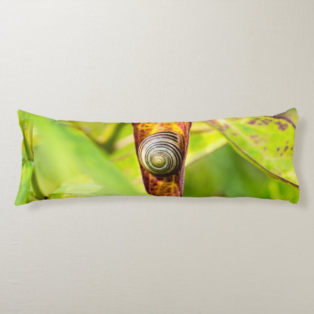 Coussins Longs fixation calme (Devant)