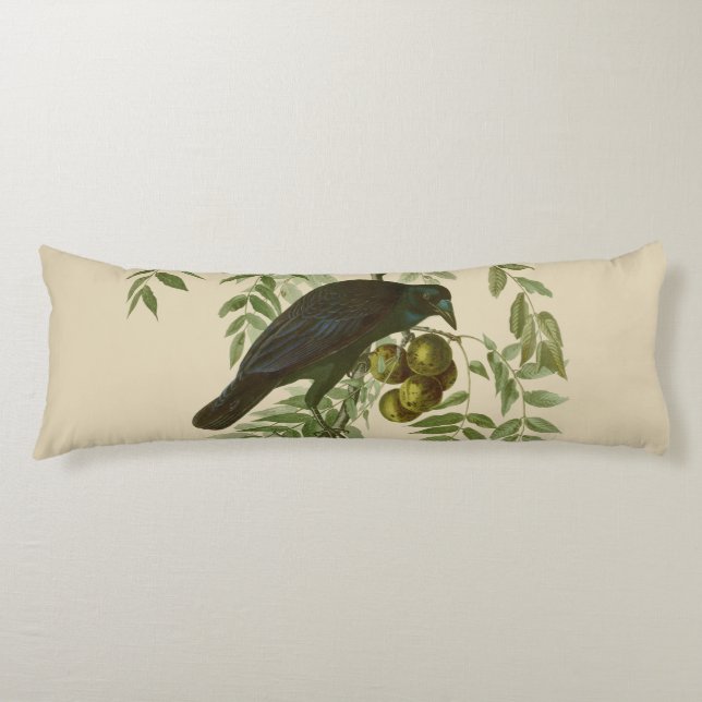 Coussins Longs Impression d'oiseau Grackle Violet d'Audubon Botan (Devant)