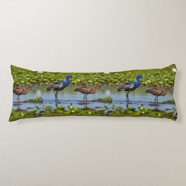 Coussins Longs Jacana iridescent et compagnon rouillé – Corps élé (Devant)