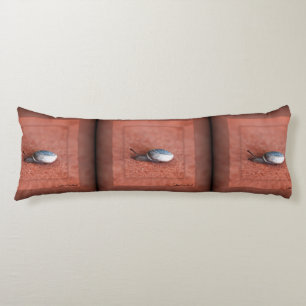Coussins Longs Macro Photographie de Snail sur Terracotta