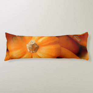 Coussins Longs Orange Mini Citrouilles Et Gourds Automne Photo