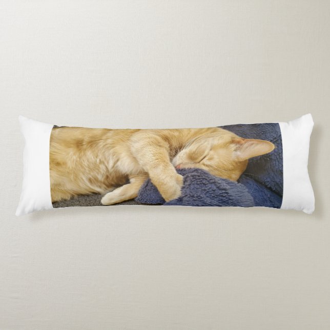 Coussins Longs Oreiller corps de chat orange endormi (Devant)