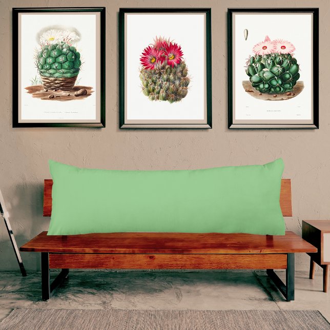 Coussins Longs Oreiller couleur unie vert sauge clair (Créateur téléchargé)