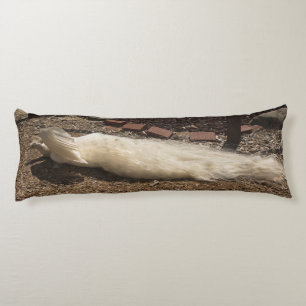 Coussins Longs Paon blanc