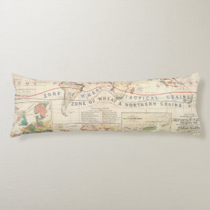 Coussins Longs Plantes de distribution