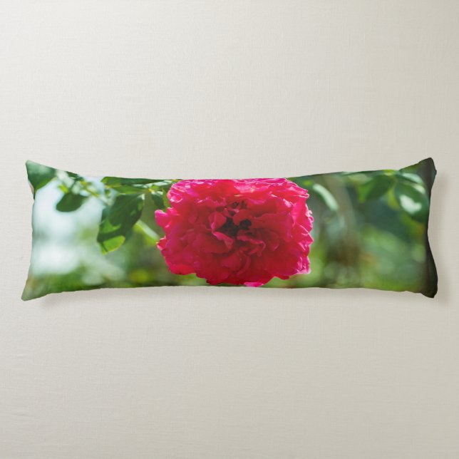 Coussins Longs Red rose flower (Devant)