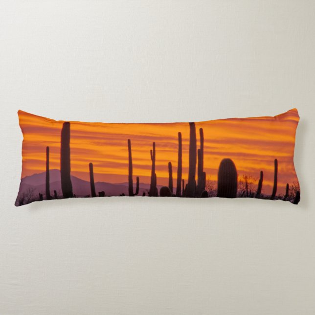 Coussins Longs Saguaro, coucher de soleil, Parc national de Sagua (Devant)