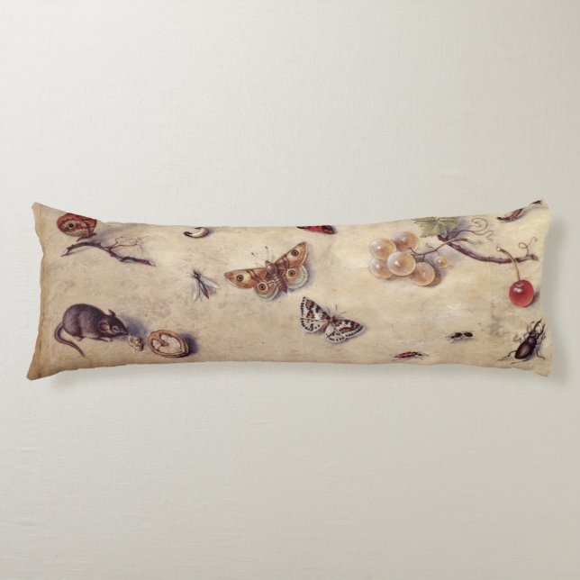 Coussins Longs T31566 une étude de divers insectes, fruit et (Devant)