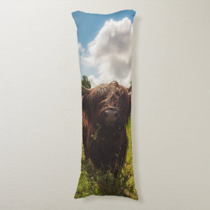Coussins Longs Vache noire pâturage vert champ soleil