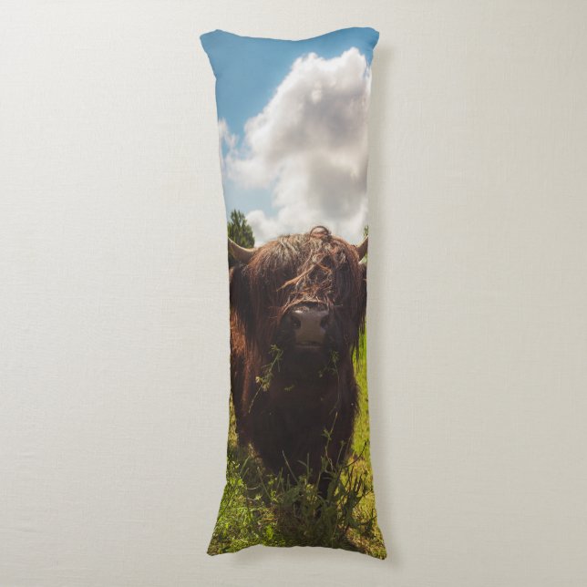 Coussins Longs Vache noire pâturage vert champ soleil (Devant (Vertical))
