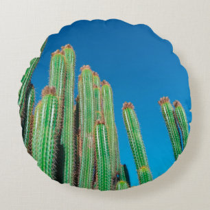 Coussins Ronds Afrique Désert Paysage Nature Cactus Plantes