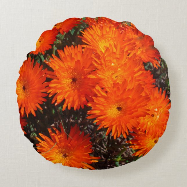 Coussins Ronds Afrique du Sud Vert Orange Fleurs Succulentes (Devant)