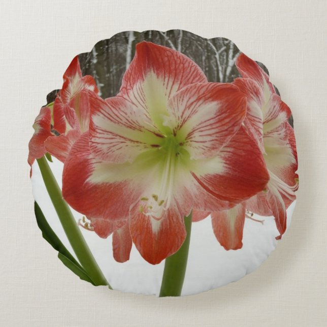 Coussins Ronds Amaryllis en Fête Rouge Neige Hiver Floral (Devant)