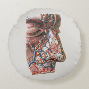 Coussins Ronds Anatomie humaine de la science vintage, visage ave