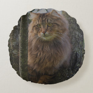 Coussins Ronds Animal de chat du Maine Coon