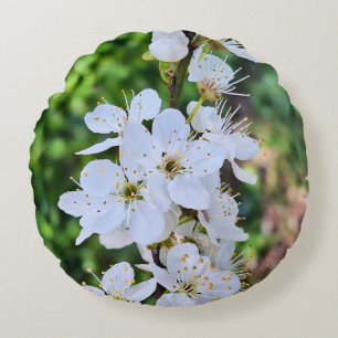 Coussins Ronds Arbre en Fleurs au Printemps Roumanie – Photograph