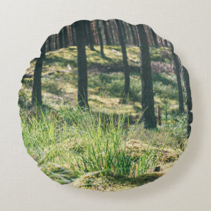 Coussins Ronds Arbres forestiers. nature bois vert soleil fond