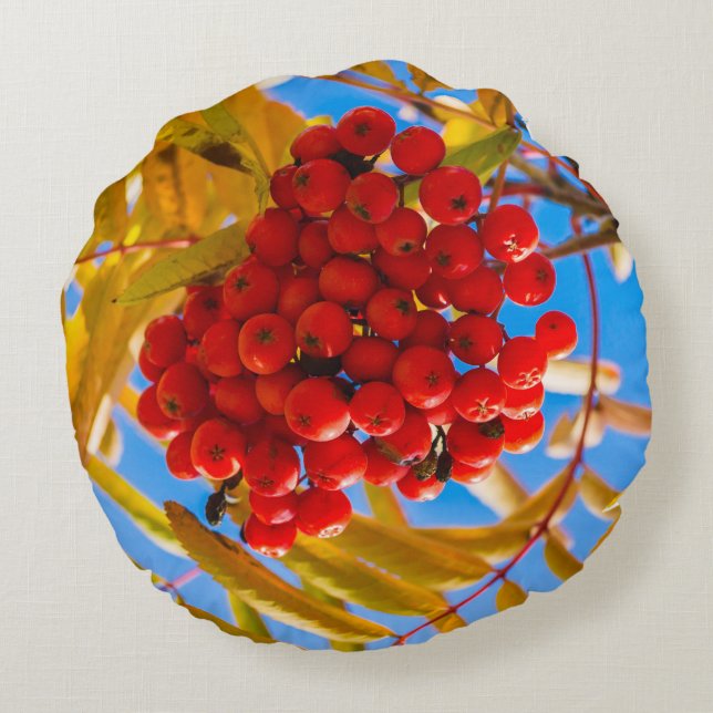 Coussins Ronds Ashberry (Dos)