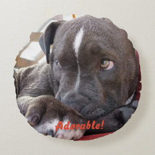 Coussins Ronds Baby Pitbull Puppy