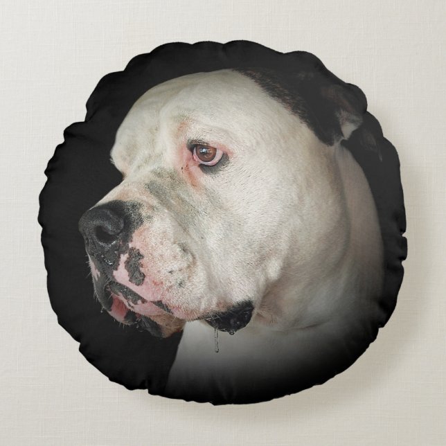 Coussins Ronds baver American Bull Dog (Devant)