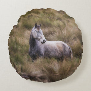 Coussins Ronds Beau cheval de couleur grise
