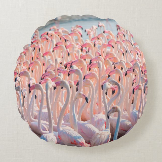 Coussins Ronds Beautiful and Wild - Flamingosflock, greater, pink (Devant)