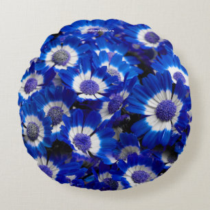 Coussins Ronds Belle Royal Blue Cineraria Fleurs