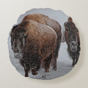 Coussins Ronds Bison de Yellowstone