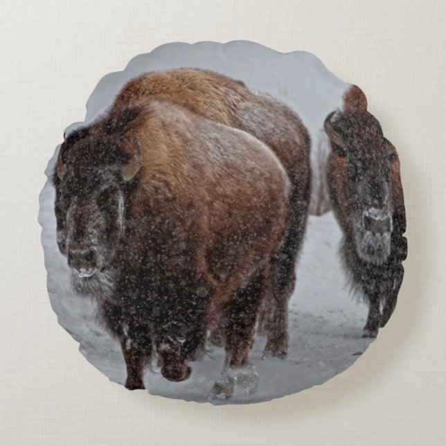 Coussins Ronds Bison de Yellowstone (Devant)