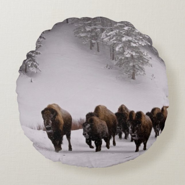 Coussins Ronds Bison en hiver (Devant)