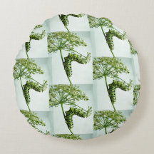 Black Swallowtail Caterpillar mangeant du persil