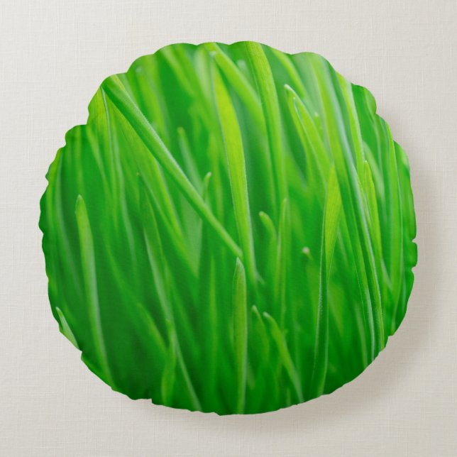 Coussins Ronds Blé vert vibrant frais  (Devant)