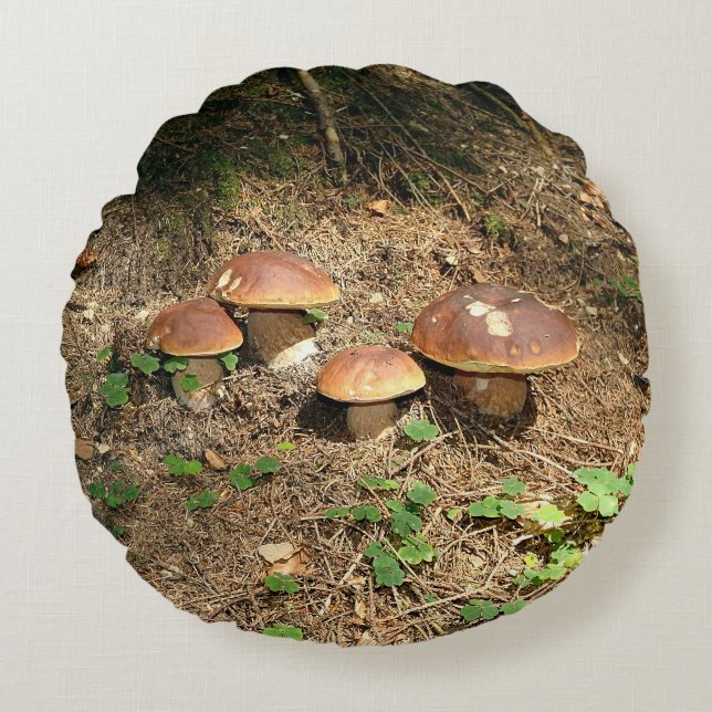 Coussins Ronds boletus (Devant)