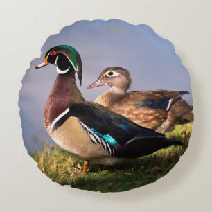 Coussins Ronds Bord du lac, Canard branchu
