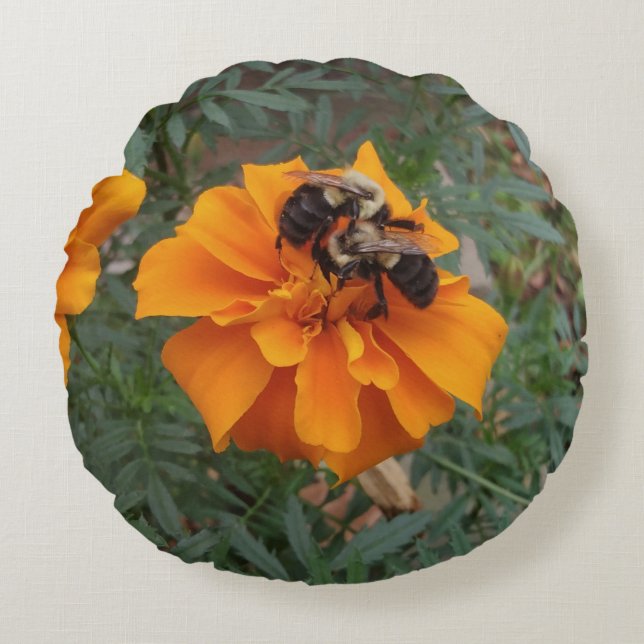 Coussins Ronds Bourdons sur une fleur de souci (Devant)