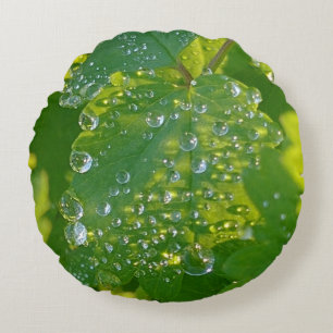 Coussins Ronds Boutons cool Sur Feuille Verte