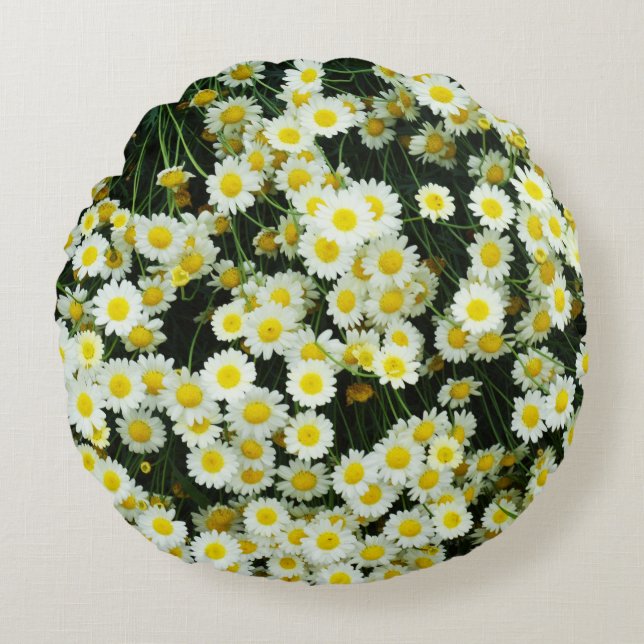 Coussins Ronds Boutons de fleurs de marguerite délicate jaune,  (Devant)