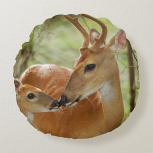 Coussins Ronds Buck Whitetail Et Bonification De La Faune