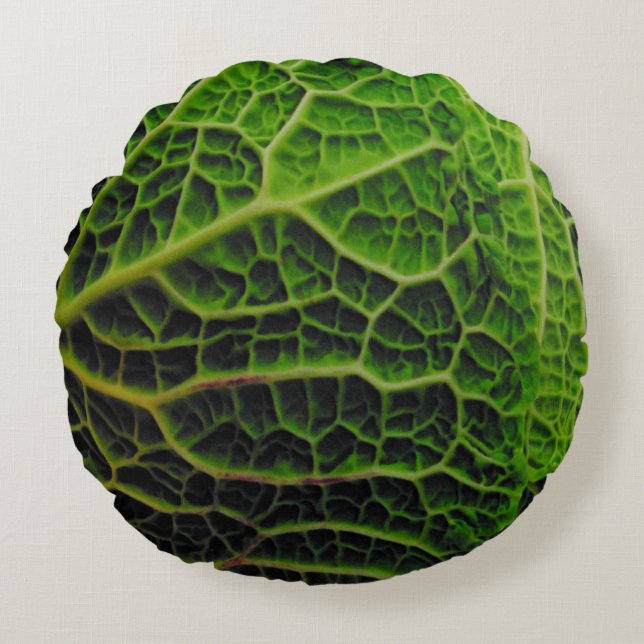 COUSSINS RONDS CABBAGE LANCE PILOTE (Devant)