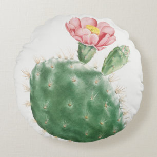 Coussins Ronds Cactus Cochenillifer, Illustration Antique, 1799