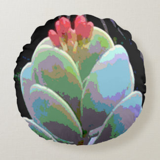 Coussins Ronds Cactus fleurissant combiné