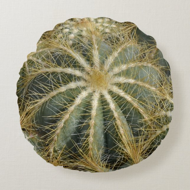 Coussins Ronds Cactus Vert Naturel Épineux (Devant)