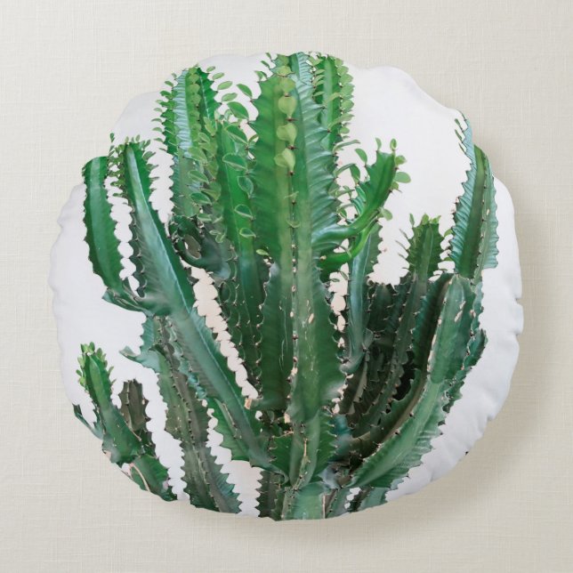 Coussins Ronds Cactus vert sur arrière - plan blanc. (Devant)