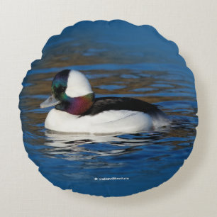 Coussins Ronds Canard Bufflehead séduisant à l'étang d'hiver