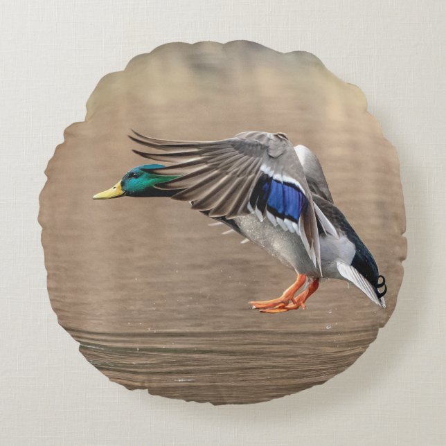 Coussins Ronds Canard Mallard en vol (Devant)