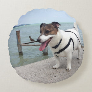 Coussins Ronds Capo von Oppenheim Jack Russell Terrier, Rond de c