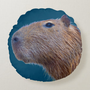 Coussins Ronds Capybara
