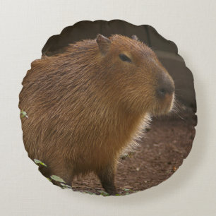 Coussins Ronds Capybara