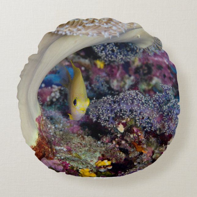 Coussins Ronds Carreau de Damselfish (Devant)